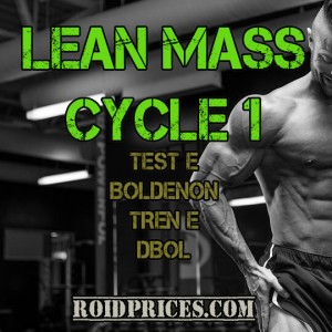 Lean Mass Cycle #1